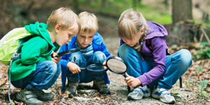Three children exploring outdoors